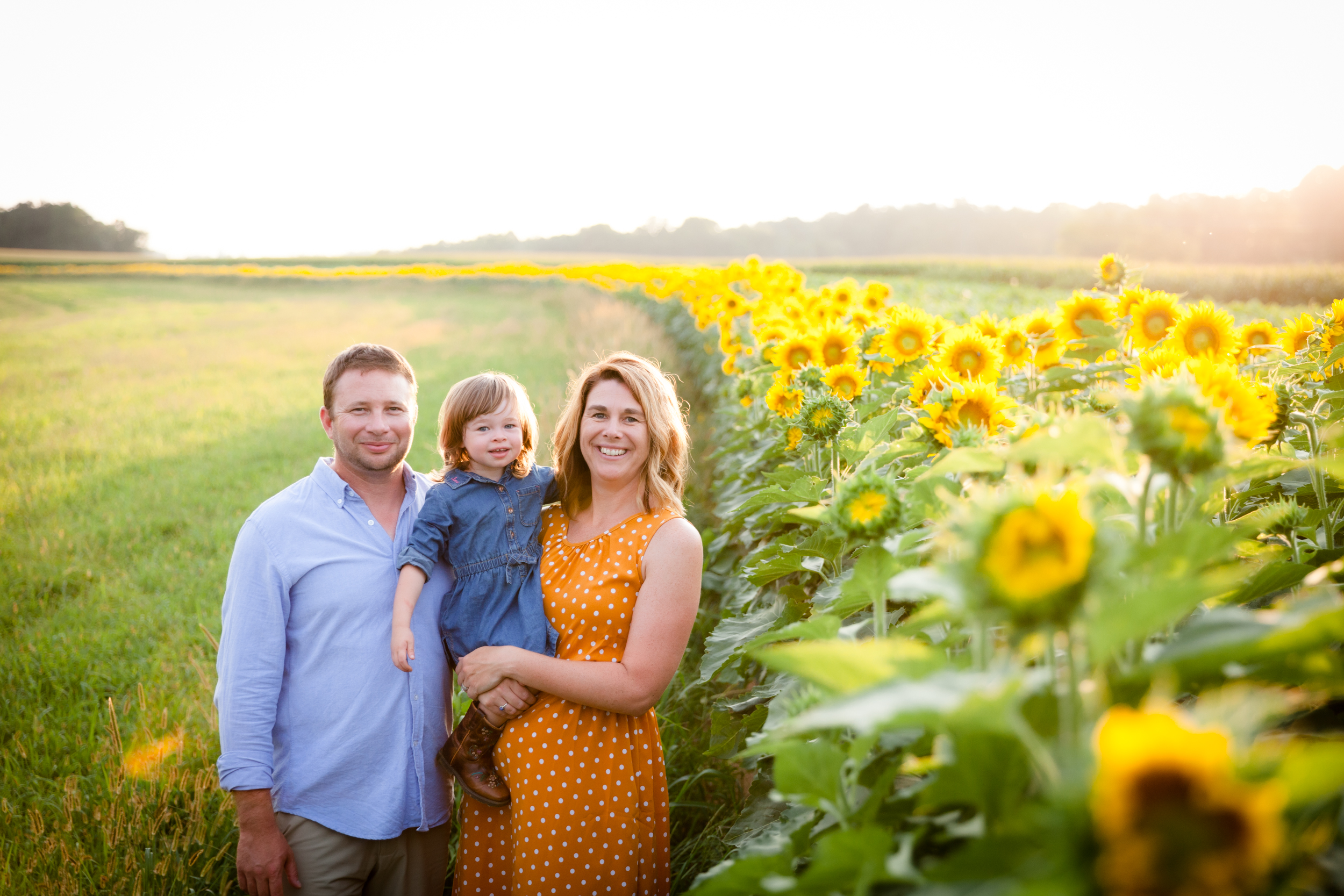 Enjoying the Sunflowers|Quarryville, PA