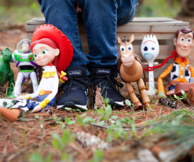 Toy Story Celebration|York, PA