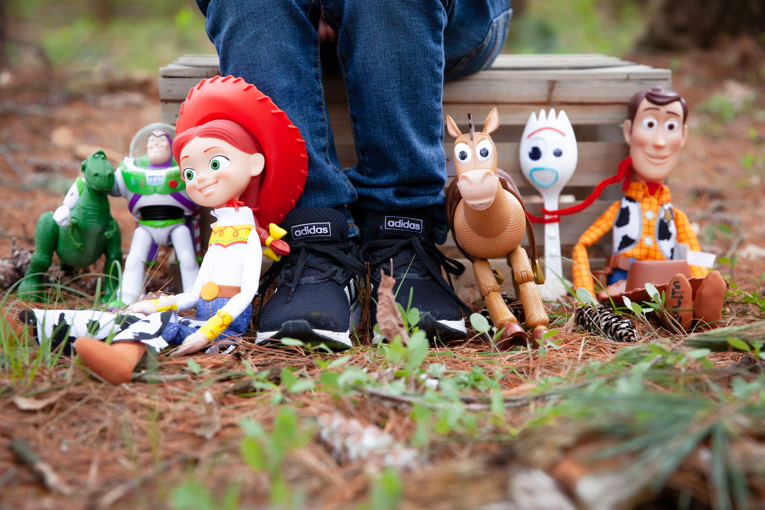 Toy Story Celebration|York, PA