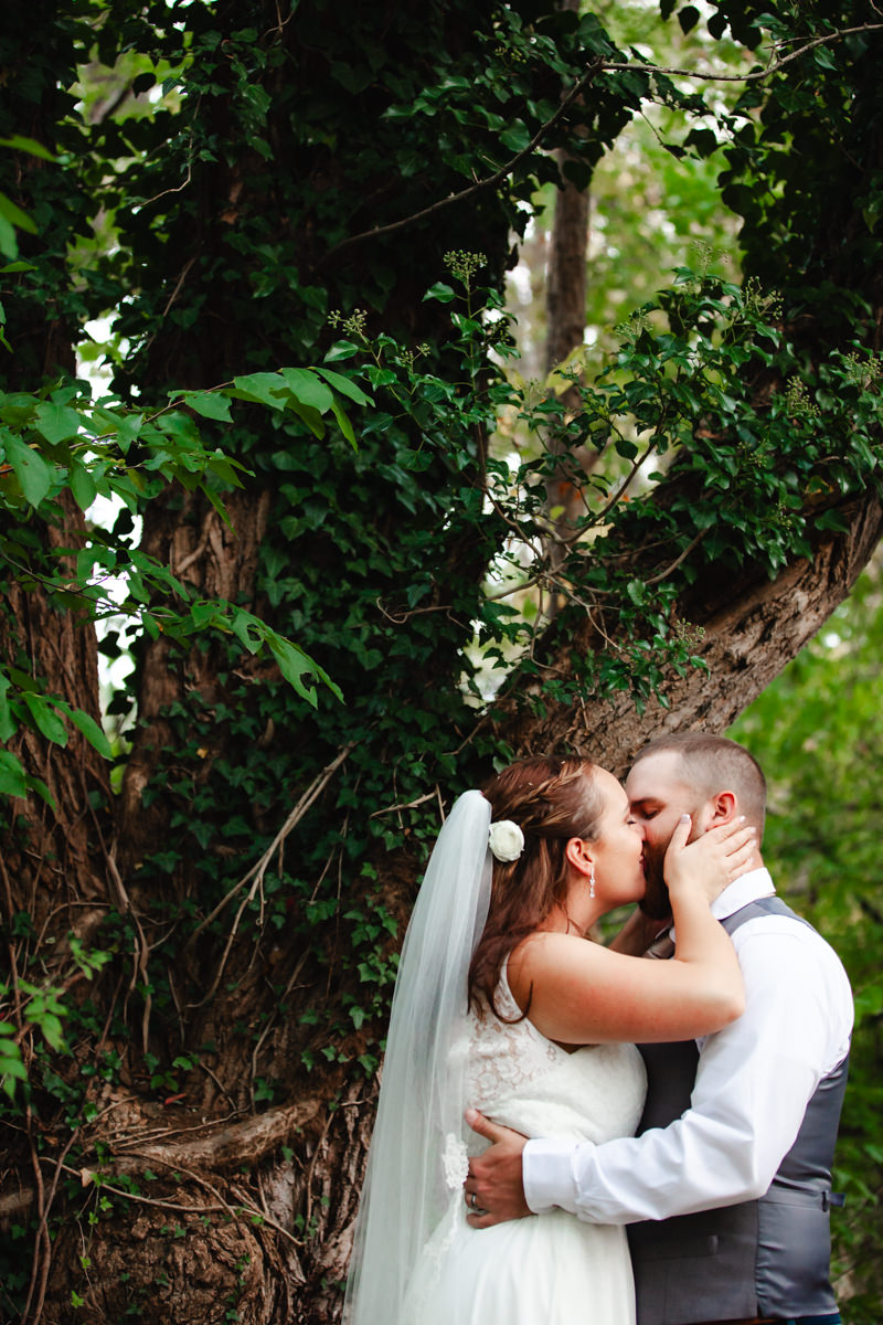 Couple kissing near a tree with ivy — example work from a York PA wedding photographer