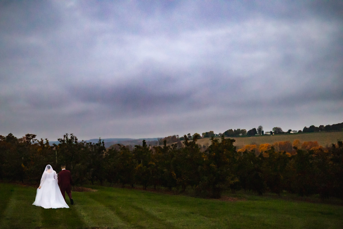 Romantic Brown’s Orchard wedding surrounded by orchard trees in York County